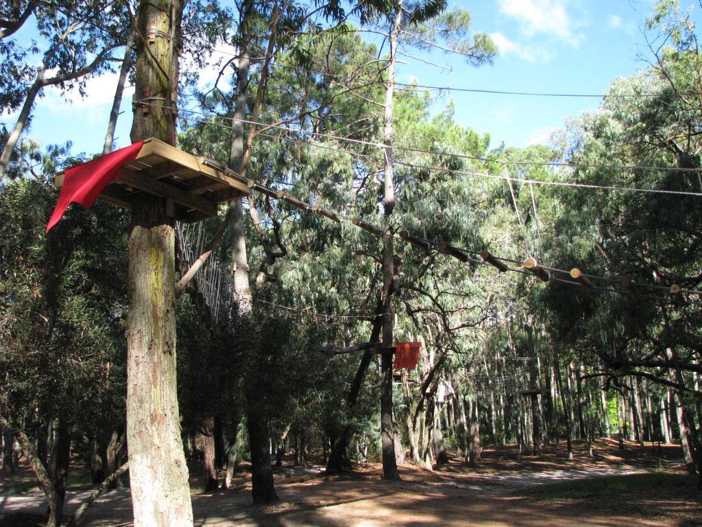Green Park En Punta Del Este Eksteriør bilde